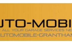 auto mobile logo